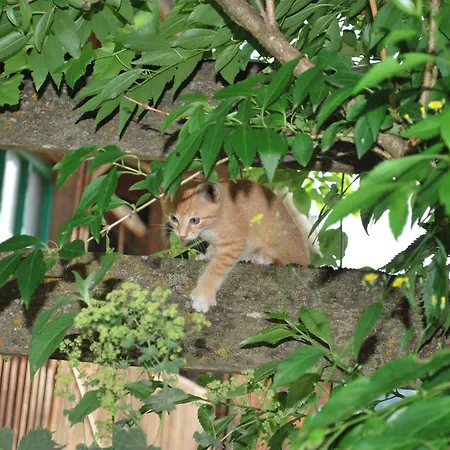 컨트리하우스 Hinkerhof