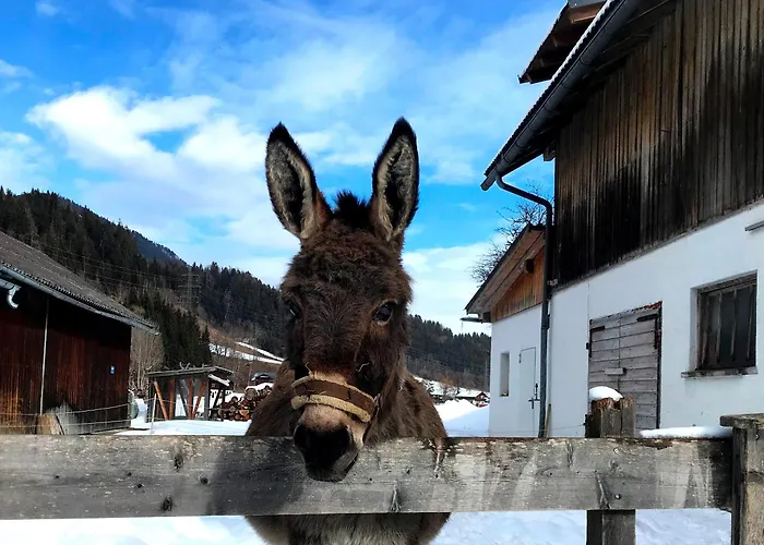 Hinkerhof Шладмінг
