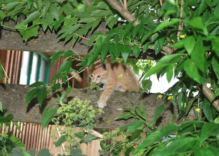 Venkovský dům Hinkerhof
