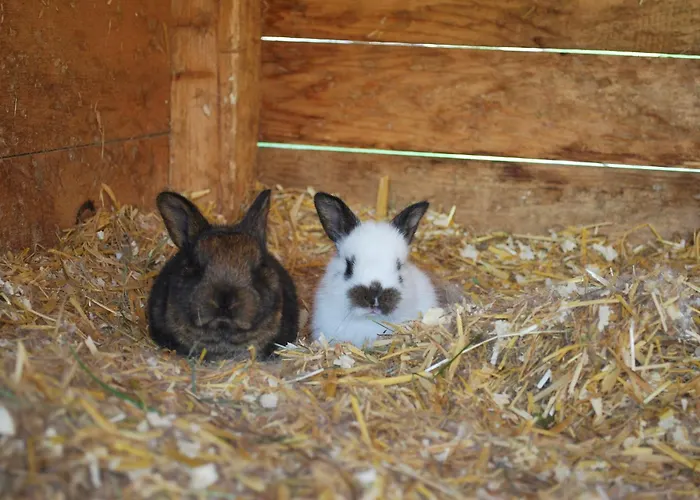 Hinkerhof Літній будинок Шладмінг